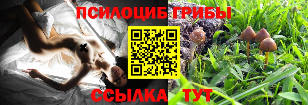 Псилоцибиновые грибы мицелий  Вход с VPN  Псилоцибиновые грибы MAGIC MUSHROOMS  Шебекино 