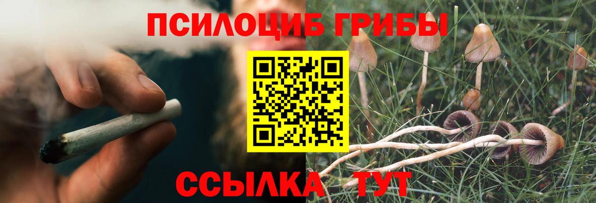 Псилоцибиновые грибы Cubensis Шебекино